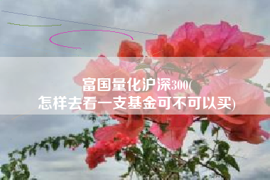 富国量化沪深300(
怎样去看一支基金可不可以买) 富国量化沪深300(
怎样去看一支基金可不可以买)