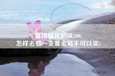 富国量化沪深300(
怎样去看一支基金可不可以买) 富国量化沪深300(
怎样去看一支基金可不可以买)
