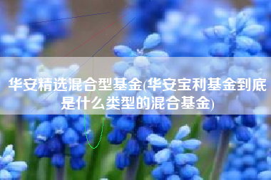 华安精选混合型基金(华安宝利基金到底是什么类型的混合基金)