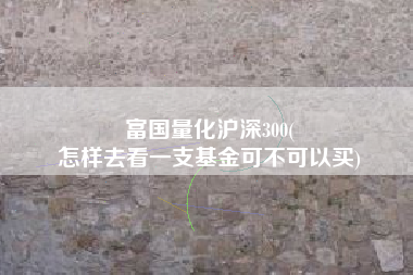 富国量化沪深300(
怎样去看一支基金可不可以买) 富国量化沪深300(
怎样去看一支基金可不可以买)