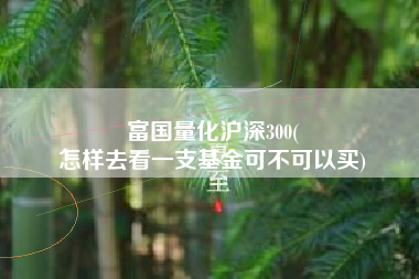 富国量化沪深300(
怎样去看一支基金可不可以买) 富国量化沪深300(
怎样去看一支基金可不可以买)