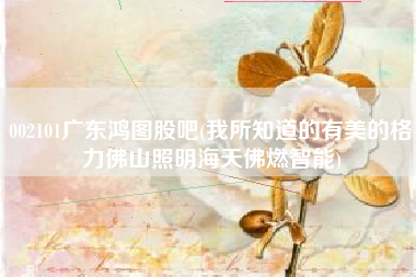 002101广东鸿图股吧(我所知道的有美的格力佛山照明海天佛燃智能)