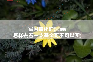 富国量化沪深300(
怎样去看一支基金可不可以买) 富国量化沪深300(
怎样去看一支基金可不可以买)