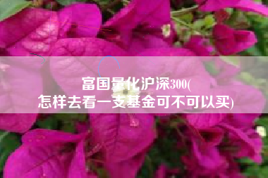 富国量化沪深300(
怎样去看一支基金可不可以买) 富国量化沪深300(
怎样去看一支基金可不可以买)