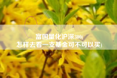 富国量化沪深300(
怎样去看一支基金可不可以买) 富国量化沪深300(
怎样去看一支基金可不可以买)