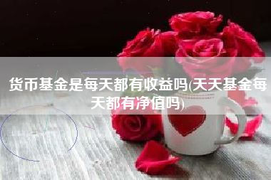 货币基金是每天都有收益吗(天天基金每天都有净值吗)