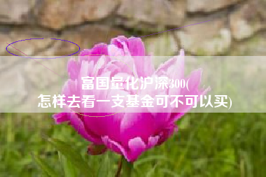 富国量化沪深300(
怎样去看一支基金可不可以买) 富国量化沪深300(
怎样去看一支基金可不可以买)