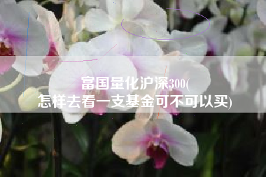 富国量化沪深300(
怎样去看一支基金可不可以买) 富国量化沪深300(
怎样去看一支基金可不可以买)