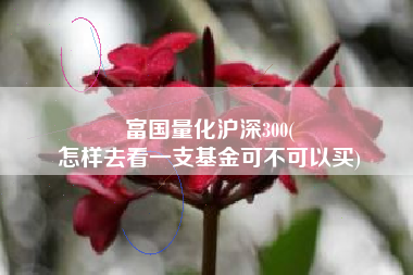 富国量化沪深300(
怎样去看一支基金可不可以买) 富国量化沪深300(
怎样去看一支基金可不可以买)