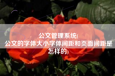 公文管理系统(
公文的字体大小字体间距和页面间距是怎样的) 公文管理系统(
公文的字体大小字体间距和页面间距是怎样的)