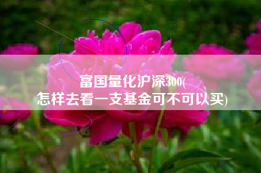 富国量化沪深300(
怎样去看一支基金可不可以买) 富国量化沪深300(
怎样去看一支基金可不可以买)