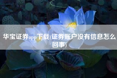 华宝证券app下载(证券账户没有信息怎么回事)