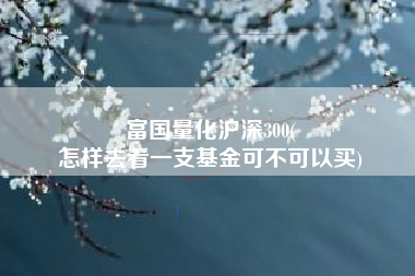 富国量化沪深300(
怎样去看一支基金可不可以买) 富国量化沪深300(
怎样去看一支基金可不可以买)