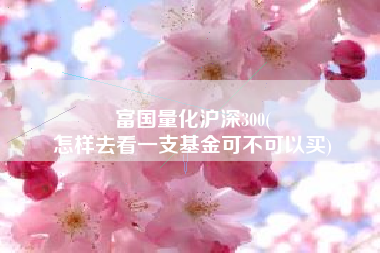 富国量化沪深300(
怎样去看一支基金可不可以买) 富国量化沪深300(
怎样去看一支基金可不可以买)