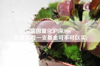 富国量化沪深300(
怎样去看一支基金可不可以买) 富国量化沪深300(
怎样去看一支基金可不可以买)