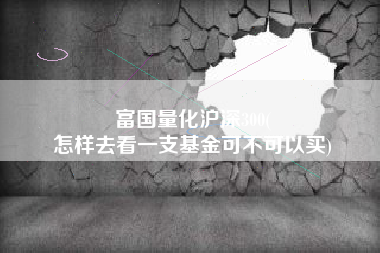 富国量化沪深300(
怎样去看一支基金可不可以买) 富国量化沪深300(
怎样去看一支基金可不可以买)
