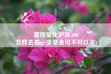 富国量化沪深300(
怎样去看一支基金可不可以买) 富国量化沪深300(
怎样去看一支基金可不可以买)