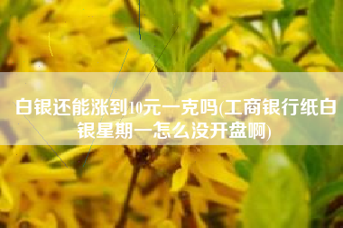 白银还能涨到10元一克吗(工商银行纸白银星期一怎么没开盘啊)