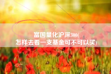 富国量化沪深300(
怎样去看一支基金可不可以买) 富国量化沪深300(
怎样去看一支基金可不可以买)