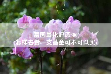 富国量化沪深300(
怎样去看一支基金可不可以买) 富国量化沪深300(
怎样去看一支基金可不可以买)