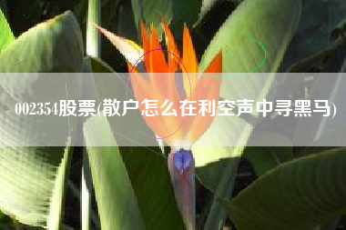 002354股票(散户怎么在利空声中寻黑马)