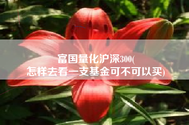 富国量化沪深300(
怎样去看一支基金可不可以买) 富国量化沪深300(
怎样去看一支基金可不可以买)