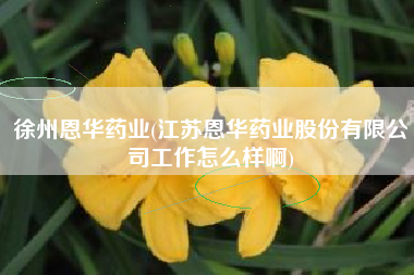 徐州恩华药业(江苏恩华药业股份有限公司工作怎么样啊)