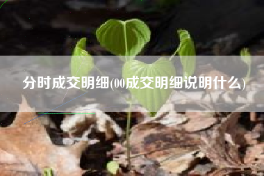 分时成交明细(00成交明细说明什么)