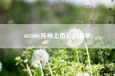 603800(苏州上市公司名单)