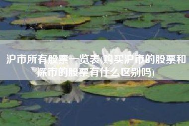 沪市所有股票一览表(购买沪市的股票和深市的股票有什么区别吗)