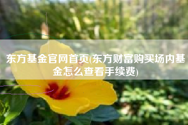 东方基金官网首页(东方财富购买场内基金怎么查看手续费)