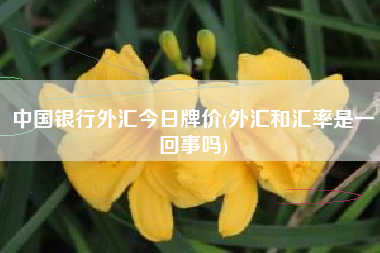 中国银行外汇今日牌价(外汇和汇率是一回事吗)