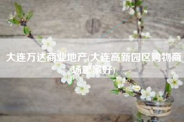 大连万达商业地产(大连高新园区购物商场哪家好)