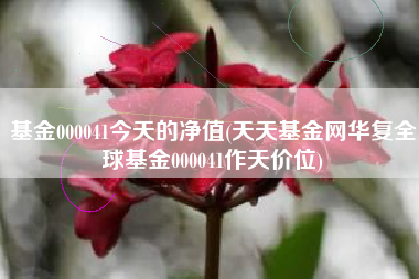 基金000041今天的净值(天天基金网华复全球基金000041作天价位)