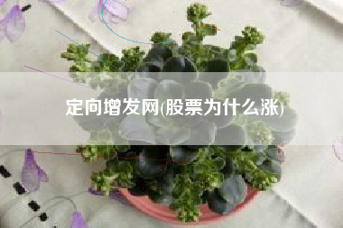 定向增发网(股票为什么涨)