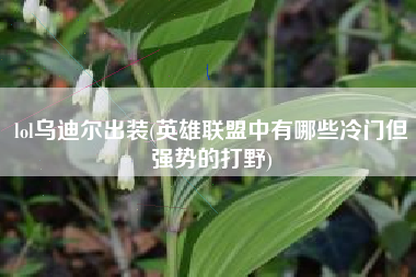lol乌迪尔出装(英雄联盟中有哪些冷门但强势的打野)