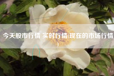 今天股市行情 实时行情(现在的市场行情)