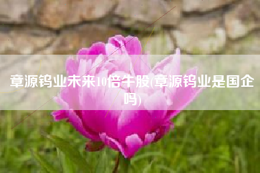 章源钨业未来10倍牛股(章源钨业是国企吗)