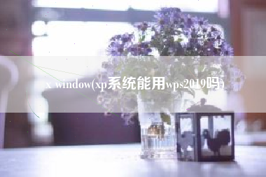 x window(xp系统能用wps2019吗)