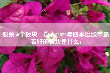 股票56个板块一览表(2022年四季度股市最看好的板块是什么)
