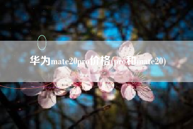 华为mate20pro价格(pro和mate20)