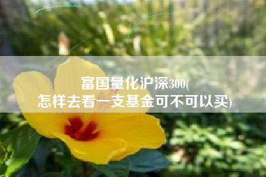 富国量化沪深300(
怎样去看一支基金可不可以买) 富国量化沪深300(
怎样去看一支基金可不可以买)