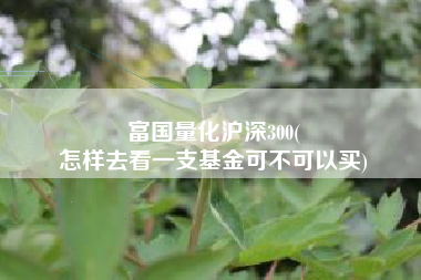 富国量化沪深300(
怎样去看一支基金可不可以买) 富国量化沪深300(
怎样去看一支基金可不可以买)