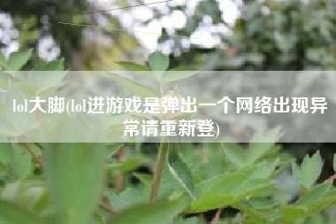 lol大脚(lol进游戏是弹出一个网络出现异常请重新登)