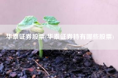 华泰证券股票(华泰证券持有哪些股票)