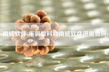 南威软件(华润数科和南威软件进展如何)