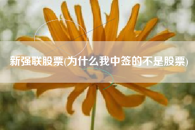 新强联股票(为什么我中签的不是股票)