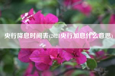 央行降息时间表(2021央行加息什么意思)