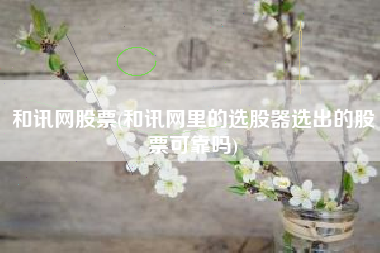 和讯网股票(和讯网里的选股器选出的股票可靠吗)