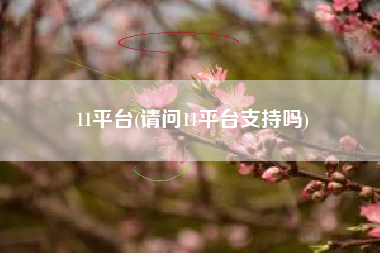 11平台(请问11平台支持吗)